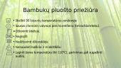 Bambukinis pluoštas 3 puslapis