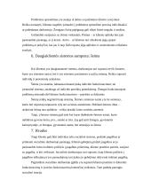 Kaip tapti klientu 5 puslapis