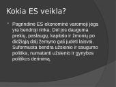 ES susikūrimas ir veikla 2 puslapis