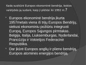 ES susikūrimas ir veikla 5 puslapis