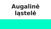 Gyvūninė ir augalinė ląstelė 8 puslapis