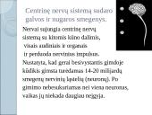 Kaip mes išmokstame? 12 puslapis