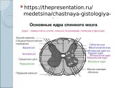Kaip mes išmokstame? 13 puslapis