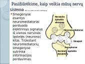 Kaip mes išmokstame? 15 puslapis