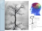 Kaip mes išmokstame? 16 puslapis