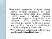 Kaip mes išmokstame? 17 puslapis