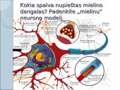 Kaip mes išmokstame? 18 puslapis