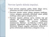 Kaip mes išmokstame? 19 puslapis