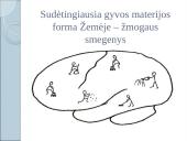 Kaip mes išmokstame? 4 puslapis