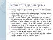 Kaip mes išmokstame? 5 puslapis