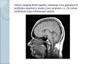 Kaip mes išmokstame? 7 puslapis