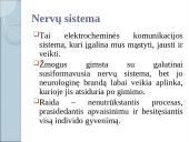 Kaip mes išmokstame? 8 puslapis
