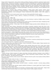 Epochos literatūroje. Konspektas 2 puslapis
