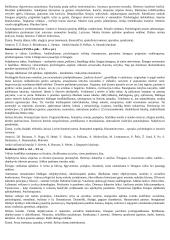 Epochos literatūroje. Konspektas 3 puslapis