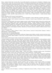 Epochos literatūroje. Konspektas 6 puslapis