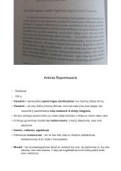 Filosofų konspektas 4 puslapis