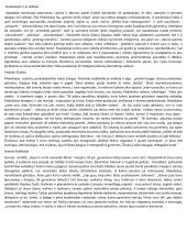 Vaižgantas - Dėdės ir dėdienės konspektas 2 puslapis