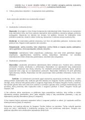 Tarptautinės teisės kolio konspektas 17 puslapis