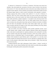 Renginių jaunimui pasiūlos - paklausos analizė „Pasakos“ jaunimo vasaros stovykloje 13 puslapis