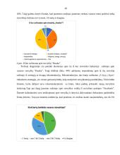 Renginių jaunimui pasiūlos - paklausos analizė „Pasakos“ jaunimo vasaros stovykloje 17 puslapis