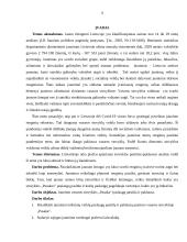 Renginių jaunimui pasiūlos - paklausos analizė „Pasakos“ jaunimo vasaros stovykloje 2 puslapis