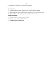 Renginių jaunimui pasiūlos - paklausos analizė „Pasakos“ jaunimo vasaros stovykloje 3 puslapis