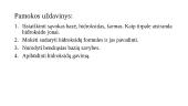 Bazinės prigimties medžiagos. Hidroksidai. Šarmai 2 puslapis
