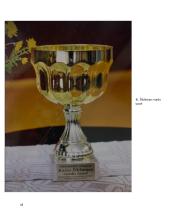 Matematikos olimpiados mokytojo Kazio Šiksnaus taurei laimėti statistiniai duomenys 18 puslapis