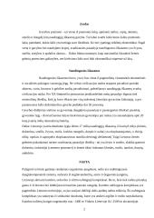 Lietuvos gavybos pramonė ir jos vystymosi perspektyvos 2 puslapis