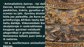 Animalistinis žanras 