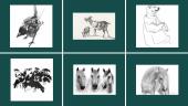 Animalistinis žanras  13 puslapis