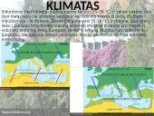 Kietalapių retmiškiai bei krūmynai 2 puslapis