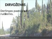 Kietalapių retmiškiai bei krūmynai 3 puslapis