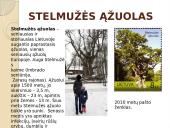 Kuo garsi mūsų šalis? 3 puslapis