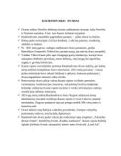 Lietuvos pilys ir dvarai 4 puslapis