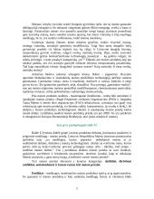 Maisto priedai 2 puslapis