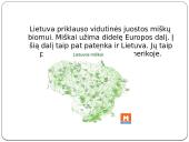 Vidutinės juostos miškų biomas 2 puslapis