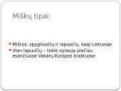 Vidutinės juostos miškų biomas 3 puslapis