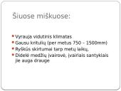 Vidutinės juostos miškų biomas 4 puslapis