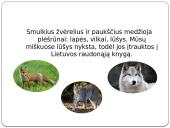 Vidutinės juostos miškų biomas 9 puslapis