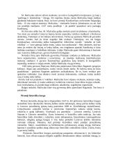 Martyno Mažvydo biografija ir Katekizmas 2 puslapis