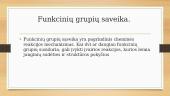 Funkcinių grupių Chemija 8 puslapis