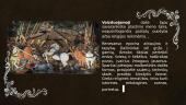 Renesansas dailėje. Skaidrės 12 puslapis