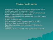 Konferencijų turizmo perspektyvos Lietuvoje 16 puslapis