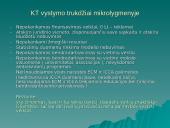 Konferencijų turizmo perspektyvos Lietuvoje 17 puslapis