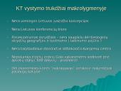 Konferencijų turizmo perspektyvos Lietuvoje 18 puslapis