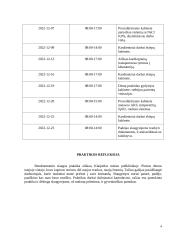 Bendruomenės slaugos praktikos veiklos dienoraštis 2 puslapis