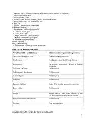 Bendruomenės slaugos praktikos veiklos dienoraštis 4 puslapis