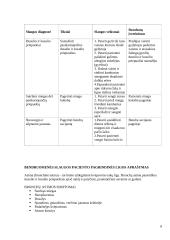 Bendruomenės slaugos praktikos veiklos dienoraštis 5 puslapis