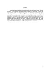 Menų brandos egzanimas. Grafikos kūrinys ,,Grožio standartai’’ 2 puslapis